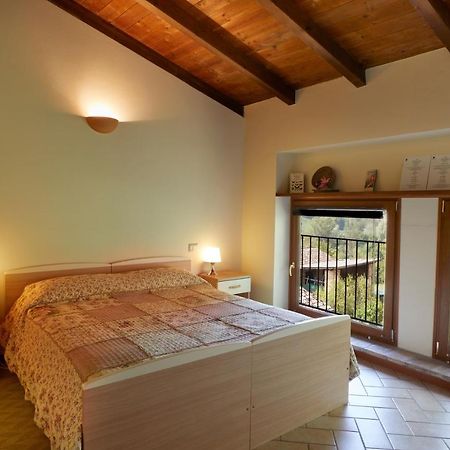 Agriturismo Ca' Del Ciuco Vezzano sul Crostolo Exterior photo